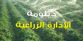 دبلومة الإدارة الزراعية