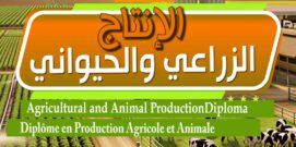 دبلومة الإنتاج الزراعي والحيواني